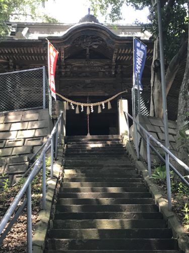 前玉（さきたま）神社は、埼玉県名発祥の神社で猫神社？！
