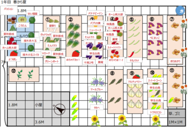 野菜 百科！ここですべて解決！土作り、種まき、肥料、摘芯、収穫と害虫・病気対策！常に改訂！