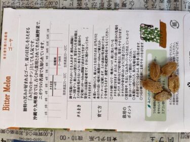 ゴーヤの栽培方法、害虫・病気対策！実写真でわかりやすく！