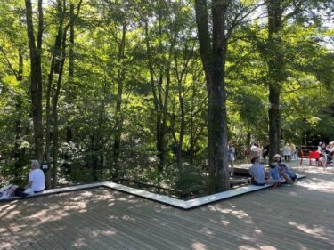 猫に会えるペンション「カスティール」に泊まって「ハルニレテラス」「千住博 美術館」「プリンスショッピングプラザ」に行ってきた！