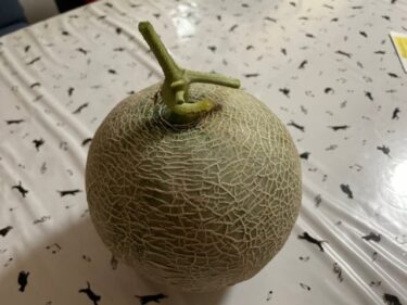 メロンの栽培方法、害虫・病気対策！実写真でわかりやすく！