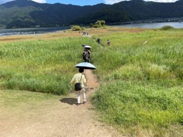 河口湖六角堂に歩いていける！夏の新倉富士浅間神社五重の塔も！