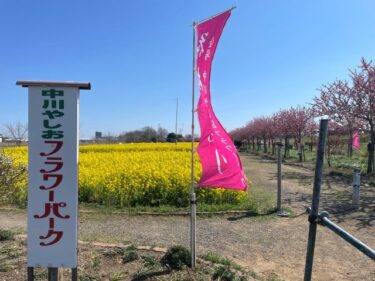 川の駅　中川やしおフラワーパークに行ってきた！